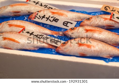 Tsukiji Fish Market, Japan.