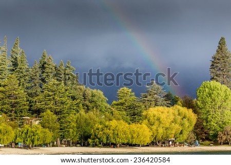 Rainbow over forest at cloudy day in New Zealand.