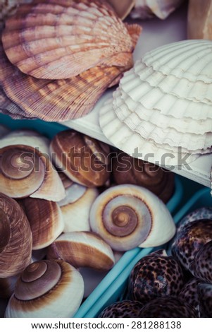 Seashells souvenirs for sale