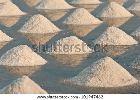 Salt fields with piled up sea salt in Thailand