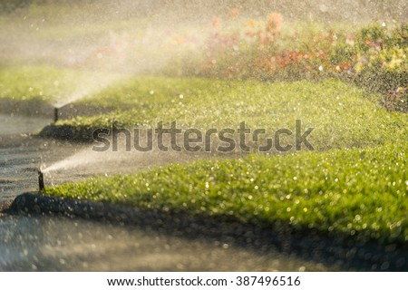 lawn sprinkler spraying water
