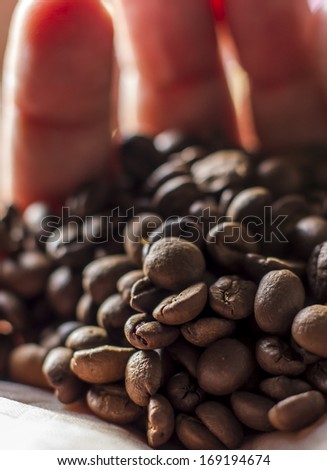 Roasted coffee beans in palm backlit
