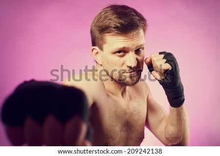 Portrait of a strong agressive boxer