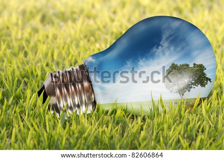 Meadow in light bulb