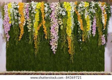 stock photo flowers backdrop decorate for wedding ceremony
