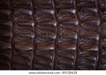 Crocodile leather texture