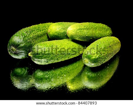 fresh organic cucumber on a black background with water drop