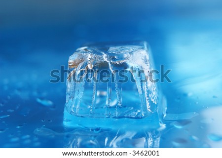 Thawing piece of an ice on a dark blue background