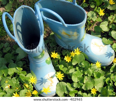 Blue rain boots and yellow flowers.