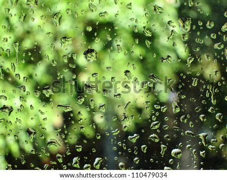 car window glass after rain (with water drops) and green plants as a background
