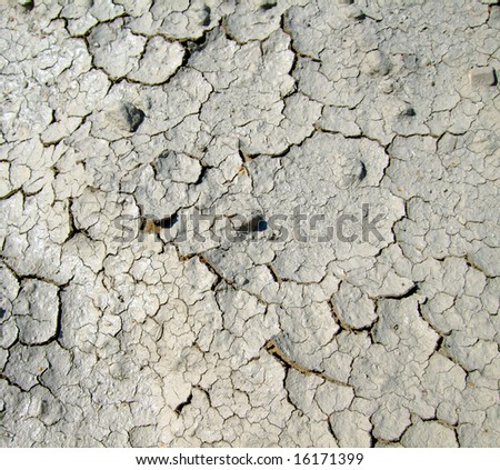 the background with close-up of the dry soil surface
