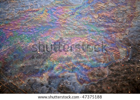 pollution of the environment - Oil Slick on the road