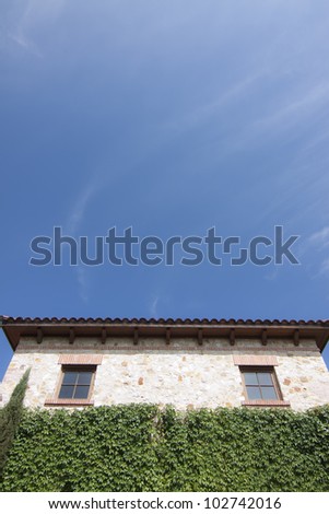 Vine Covered Wall