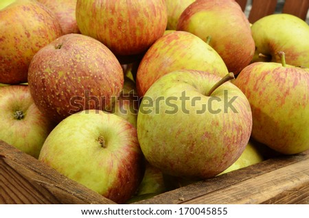 Pile of apples for sale at marke