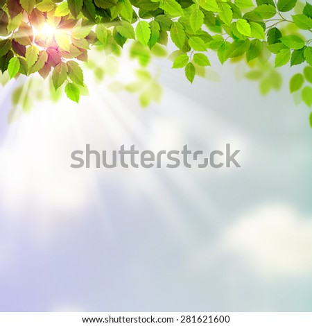 Summer fresh green leaves with sun rays on the sky