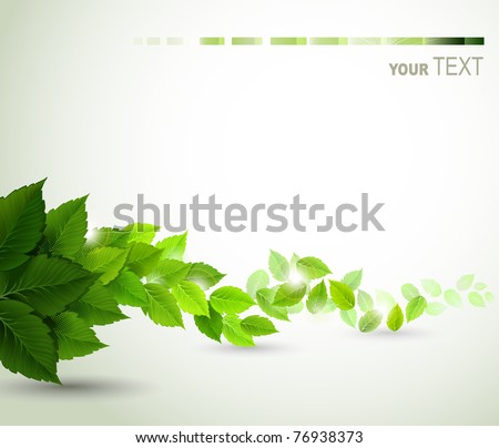 branch with fresh green leaves branch with fresh green leaves