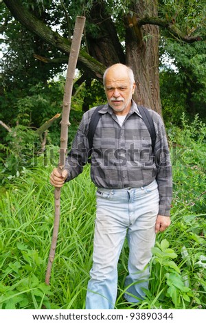 An elderly man with a backpack tourist goes into the thickets of the forest in summer, Tambov region, Russia