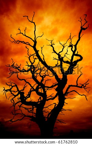 dead tree with a surreal scary red and orange sky for Halloween