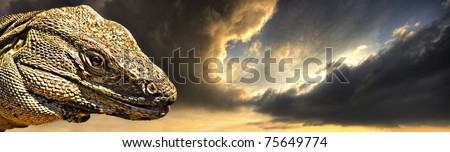 dramatic portrait of a mexican spiny-tail iguana with stormy clouds in the background. Dinosaur like.