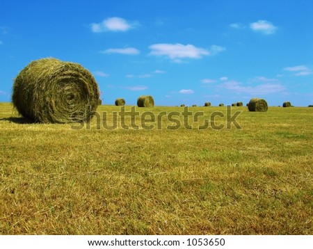 Hay landscape-France
