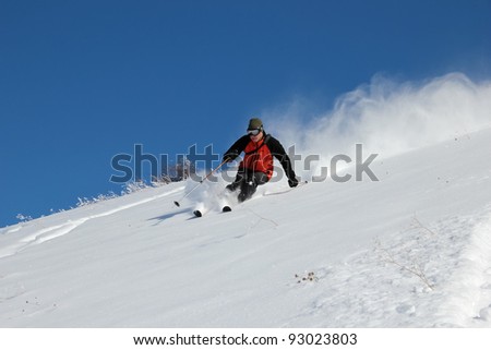 Skier on the hill