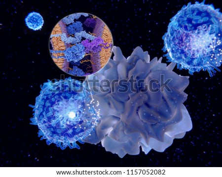 Activation of the immune response: antigen presenting cell activates T-lymphocytes (smaller  cells).  Magnification: T-cell receptor in complex with an MHC class II molecule and an antigen. 3d renderi