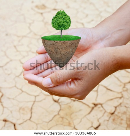 Hand holding trees on the lawn. Natural concept.