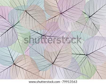 Skeleton leaf abstract background