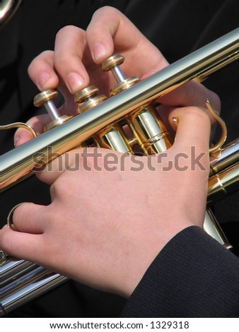 Hands of the musician
