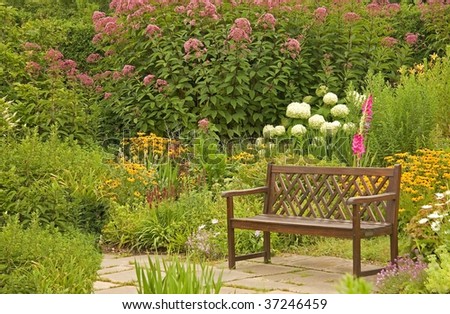 Bench in The Flower Garden