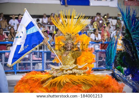 RIO DE JANEIRO, RJ /BRAZIL - MARCH 01:  parade of samba schools Tradicao, access group in Carnival 2014 on march 01, 2014 in Rio de Janeiro.