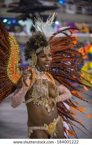 RIO DE JANEIRO, RJ /BRAZIL - MARCH 01:  parade of samba schools Tradicao, access group in Carnival 2014 on march 01, 2014 in Rio de Janeiro.