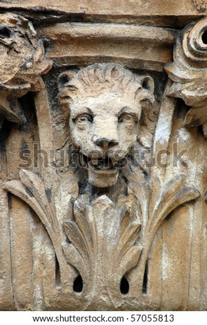 lion capital A lion surrounded by acanthus leaves on the top of a capital on Bristol\'s City Museum and Art Gallery.