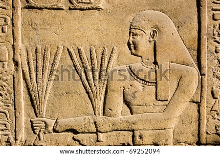 Ancient Egyptian stone carving of a priest carrying stalks of wheat.  Temple of Horus, Edfu, Egypt.