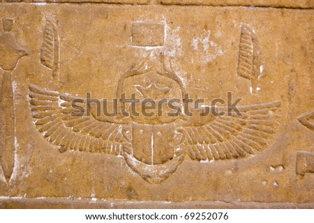scarab egypt