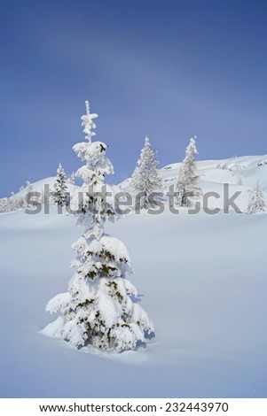Triglav national park in winter on a beautiful sunny day after storm - Slovenija (Slovenia, Slowenien)