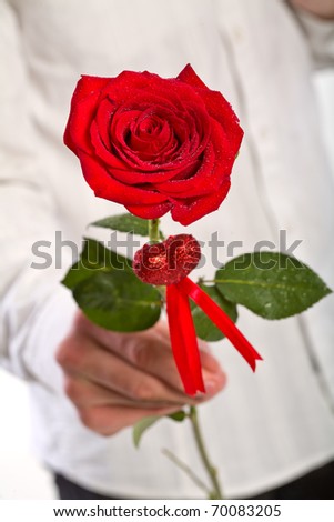Man hand holding one red rose