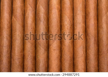 Close up of cigars in open humidor box