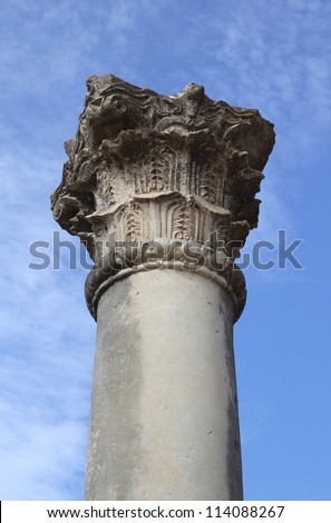 Detail of top of column at Volubilis