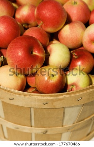 Bushel Of Apples