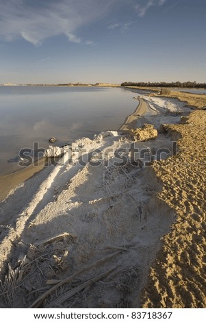 Salt Crusted Shoreline Of Salt Water Lake, Lake Siwa, Siwa Oasis, Egypt