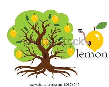Lemon Tree,Vector. - 80976742 : Shutterstock