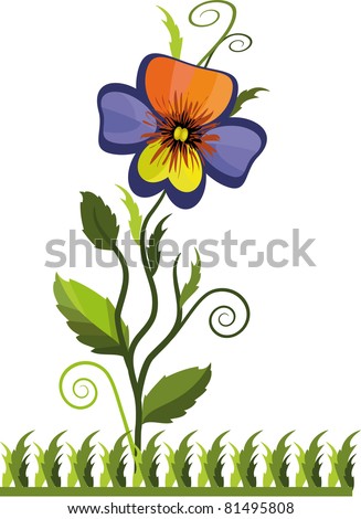 Pansy Vector