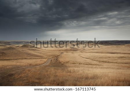 Country road in the steppe during gloomy weather