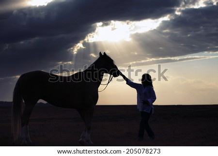 Silhouette of the woman and horse training during sunset