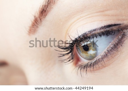 Close-up photo of green human eye