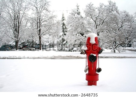 A Fire Hydrant in the Snow.