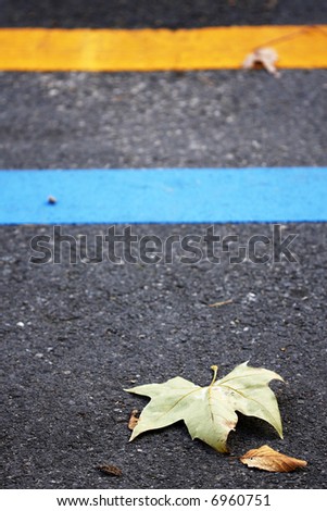 Dried leaves on the road signifying autumn or fall. Focus on the Leaf.