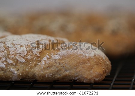 Fresh Bakery Bread