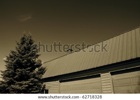 Barn Wind Vane